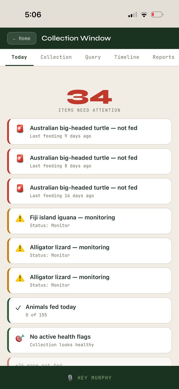 Collection Window Today tab