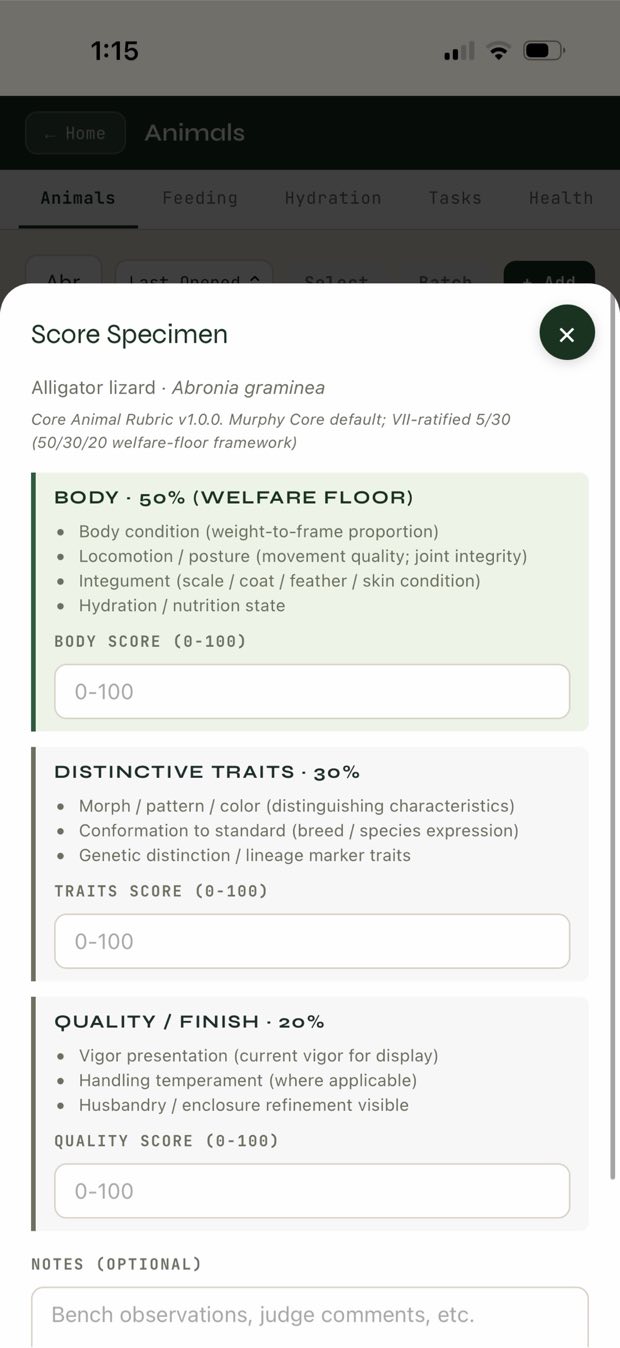 Score Specimen — the 50/30/20 rubric